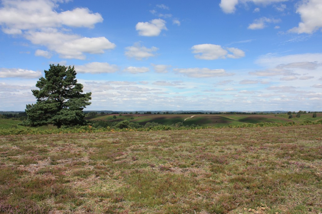 This image has an empty alt attribute; its file name is img_4269.jpg