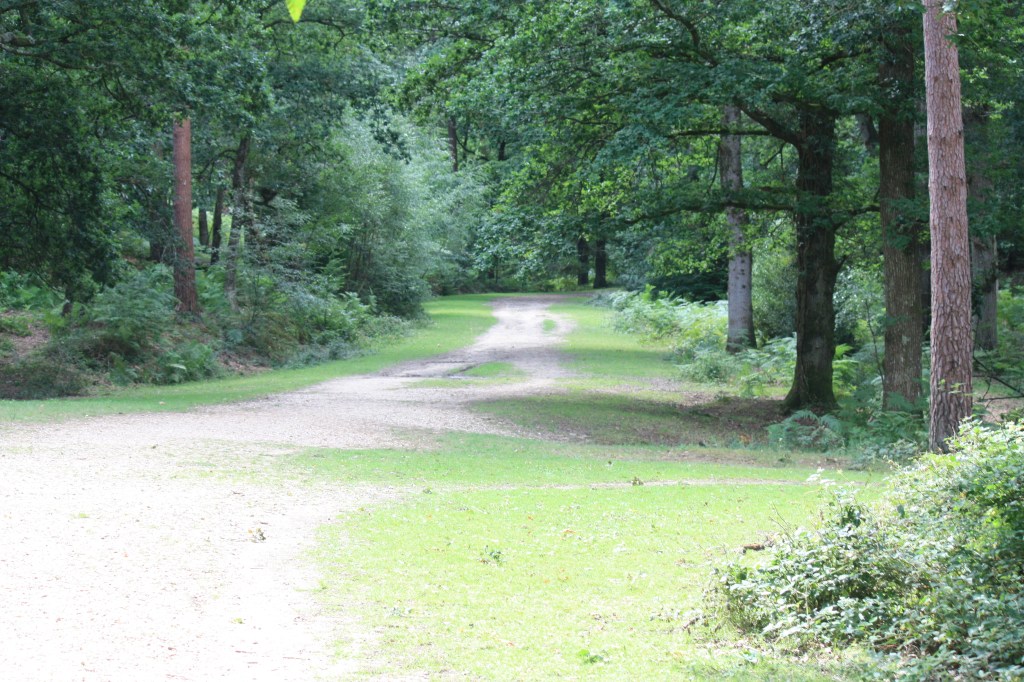 This image has an empty alt attribute; its file name is img_4294.jpg