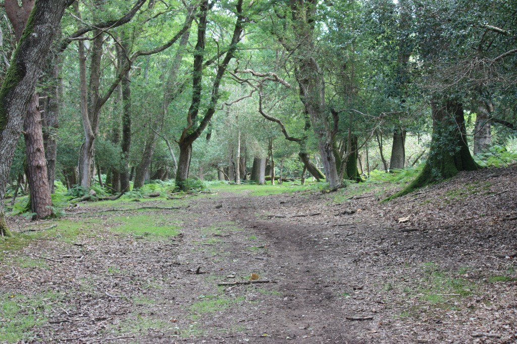 This image has an empty alt attribute; its file name is img_4300.jpg