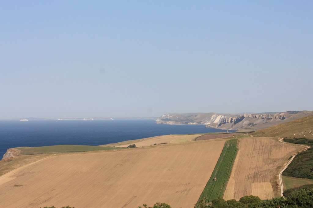 This image has an empty alt attribute; its file name is img_4308.jpg