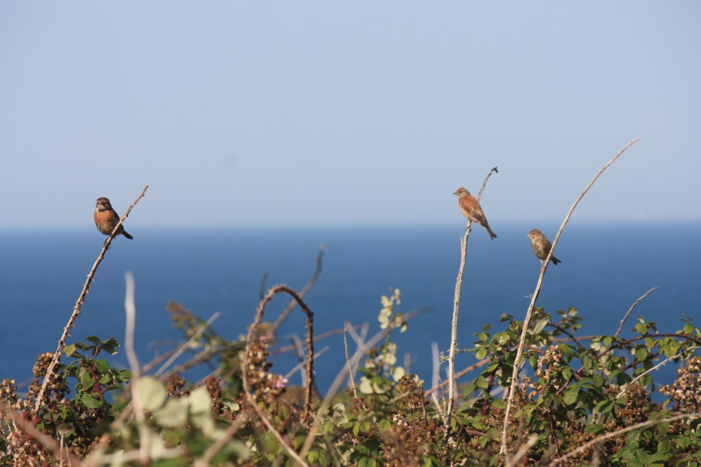 This image has an empty alt attribute; its file name is img_4400.jpg