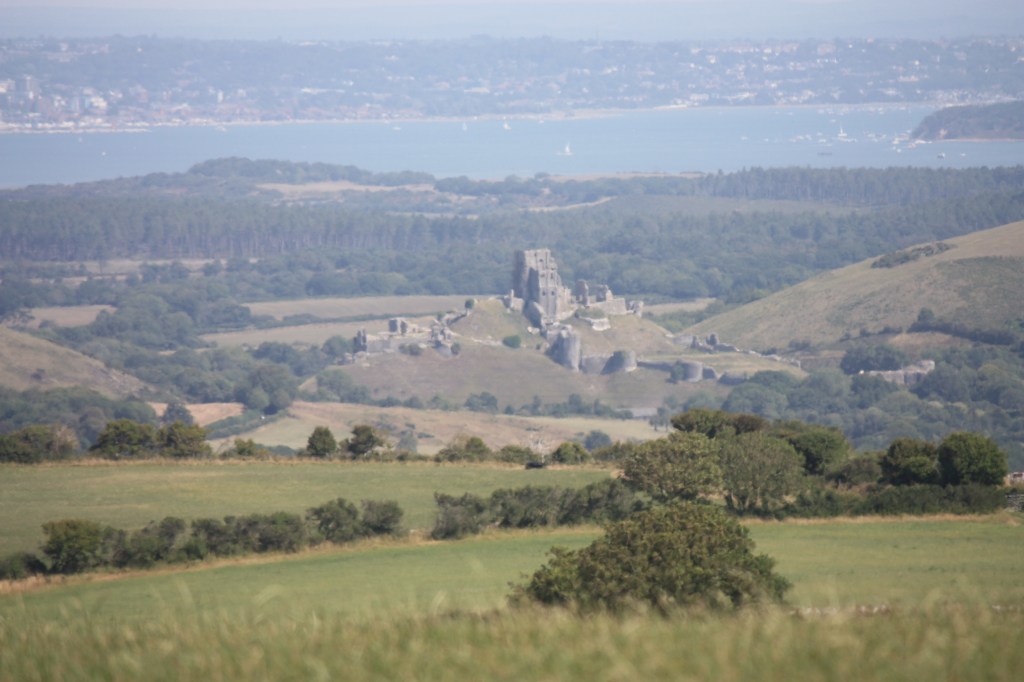 This image has an empty alt attribute; its file name is img_4458.jpg