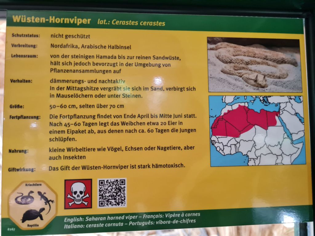 20241103_1245438972711036990332970